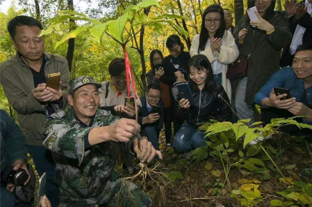 保健酒行业如何破局,保健酒升级方法