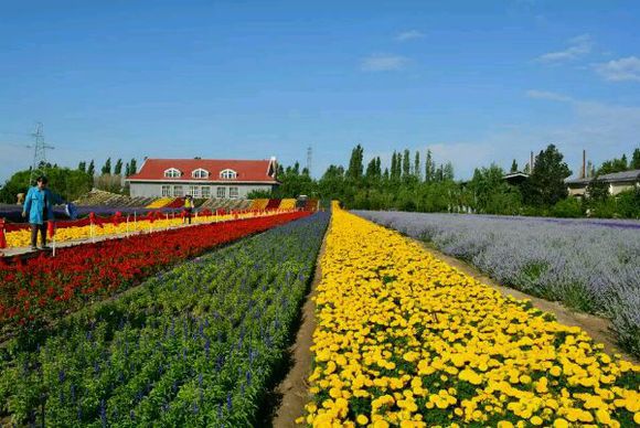 我的一周伊利穷游记