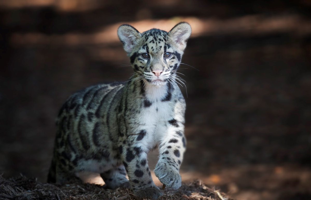 七天自我发现之旅｜Day4放任自我