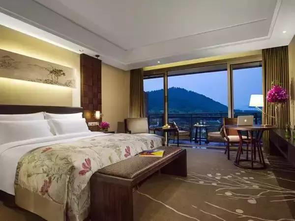 宠物友好五星级酒店,适合带宠物去的酒店