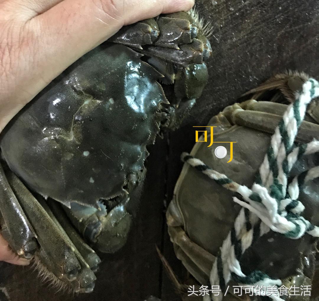 大闸蟹蒸蟹如何不掉腿,煮大闸蟹不掉腿
