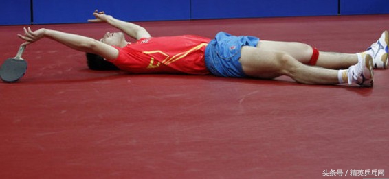 人生漫漫知何为？应似飞鸿踏雪泥——张继科与刘国梁的风雨师徒情