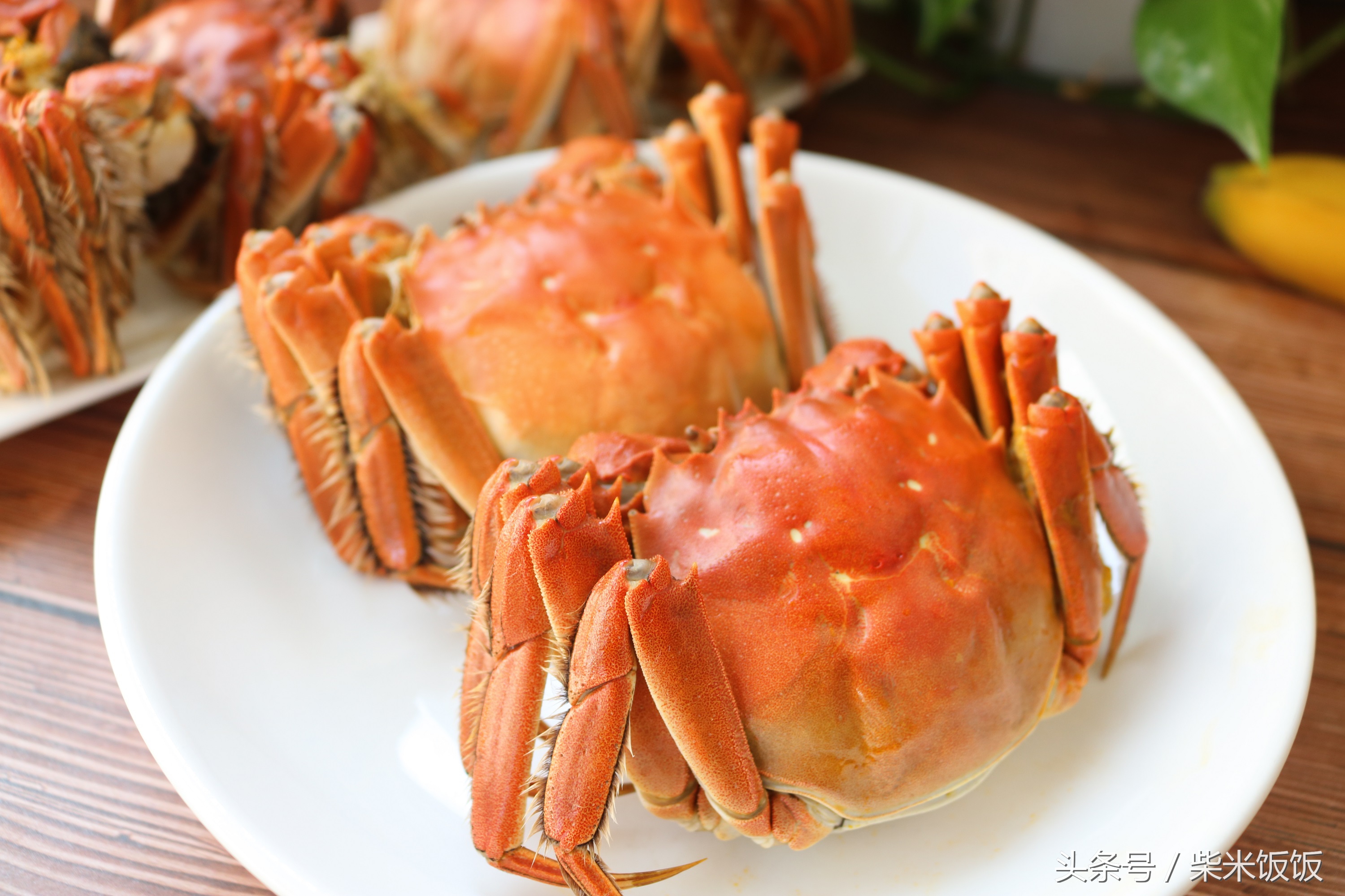 大闸蟹怎么清洗蒸才好吃,大闸蟹不洗可以直接蒸吗