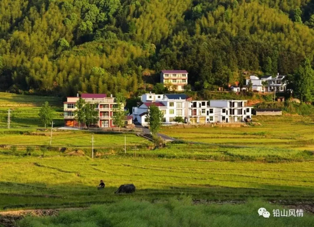 「荐读」岩前，既有故事也有诗