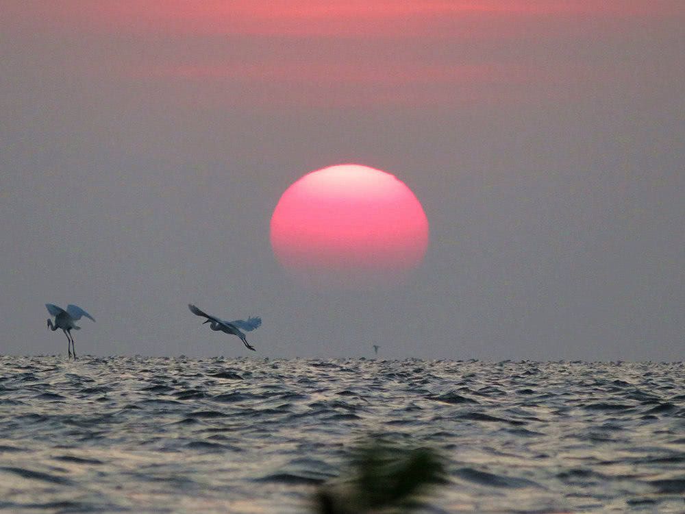 初升的红日很漂亮，配上海面的波浪，很唯美！