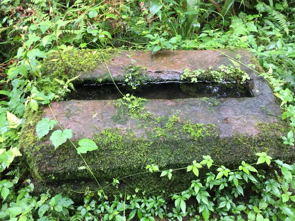 发现洪雅明代张可述《榛子寺碑记》