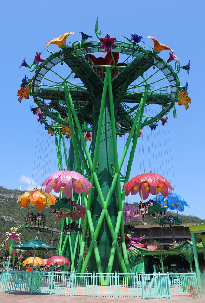 珠海长隆海洋王国企鹅馆北极熊馆,珠海长隆企鹅海洋王国攻略