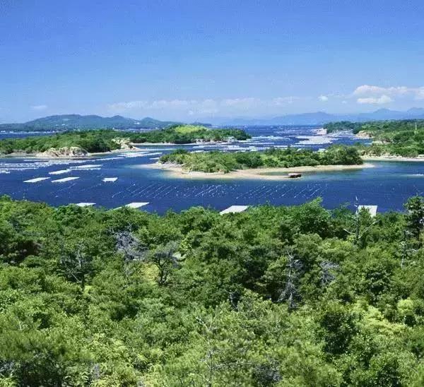 最佳安缦,中国四家安缦哪一家最好