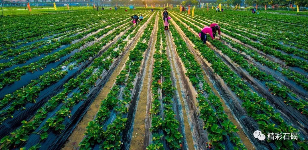 2018年度全国百强镇出炉！石碣榜上有名！