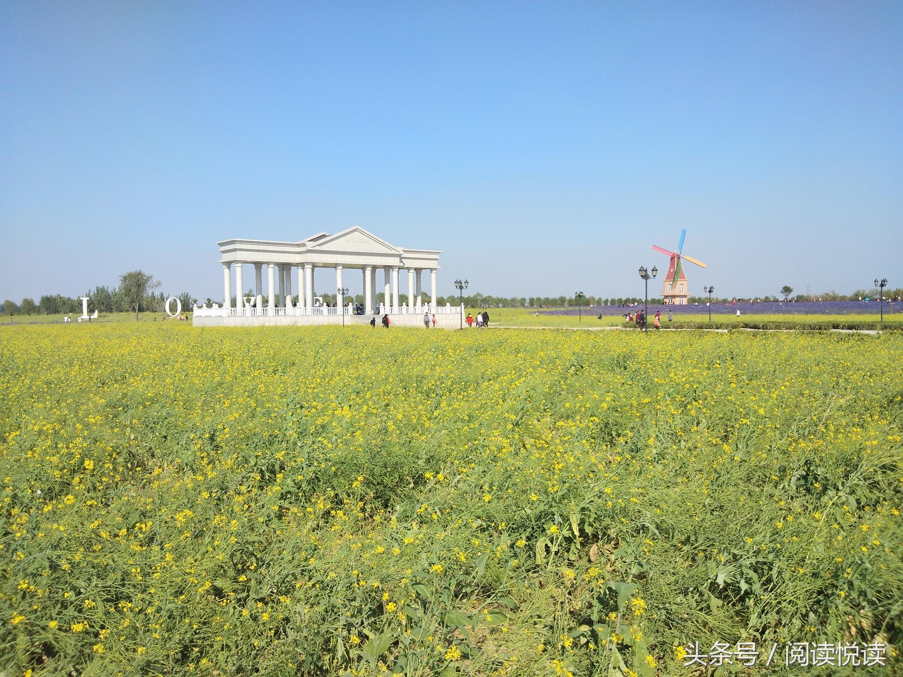 夏天的安国药博园,五一安国药都药博园