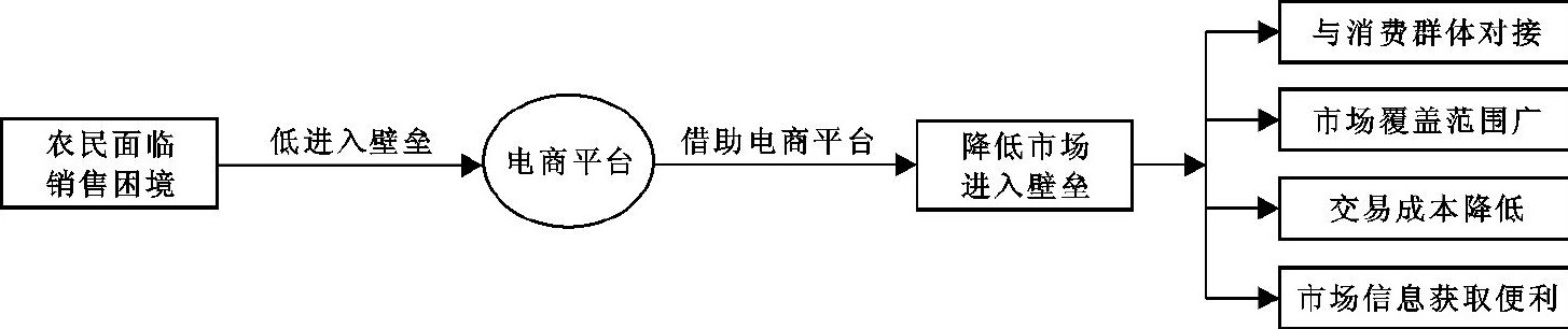 乡镇电商平台案例,壮大农村电商产业集群