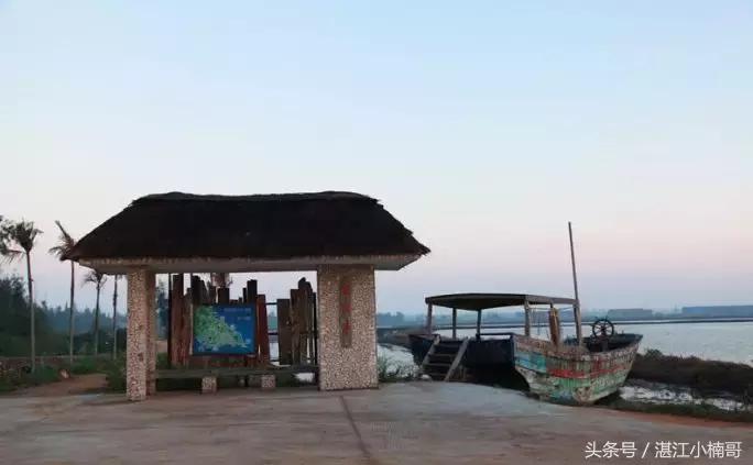 徐闻最有名的村庄,徐闻最出名的村子