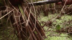 青田旅游必去十大景点,青田旅游攻略必去的景点