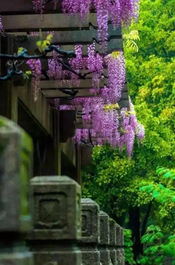 出去人从众,玄武为你安排了身边的风景