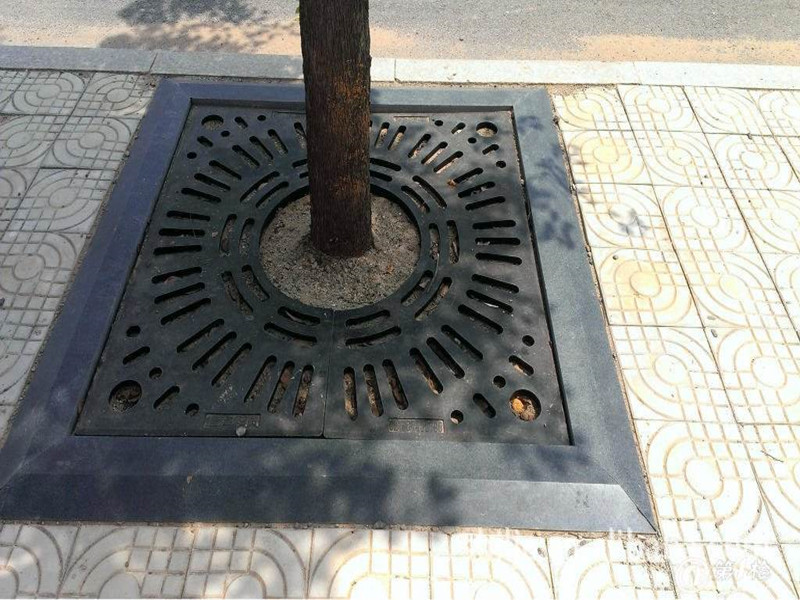 树木快枯死时的表现,树木长叶后死亡