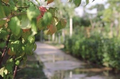 呼和浩特哪个沟秋景好,呼和浩特红石崖秋景