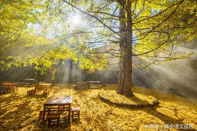 作文指导那些温暖的时光,时间的声音话题作文精选