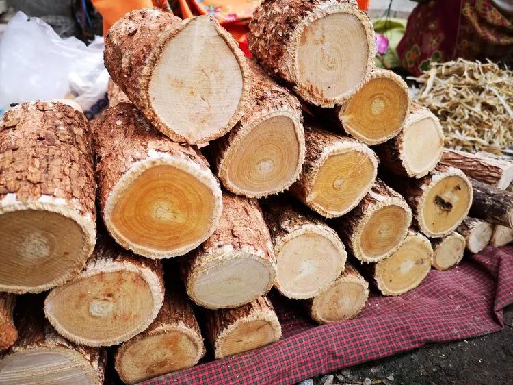 一个人的自由行西藏,一个人的泰国自由行