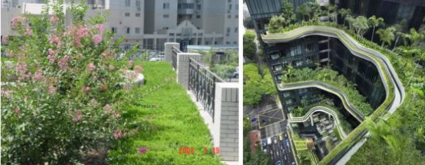 种植屋面防水材料是否要求耐穿刺,种植屋面的设计防水施工技术