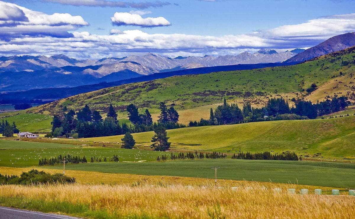 新西兰一个风景如画的国家,新西兰风景绿色