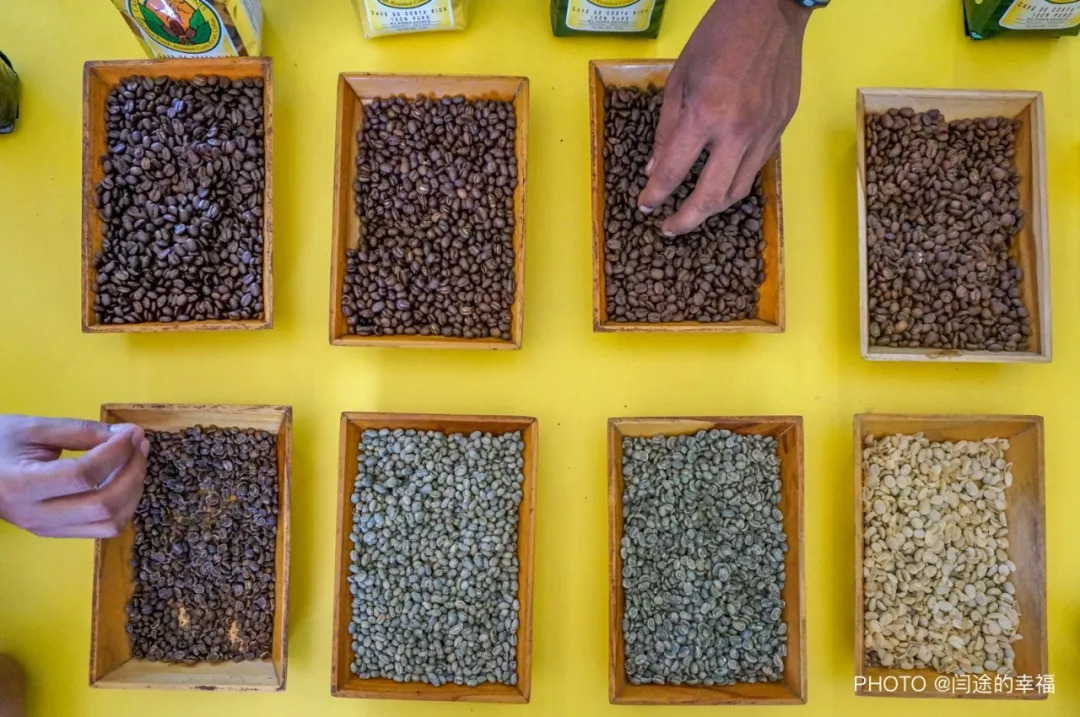 了解咖啡从什么开始,哥斯达黎加咖啡豆属于哪个洲