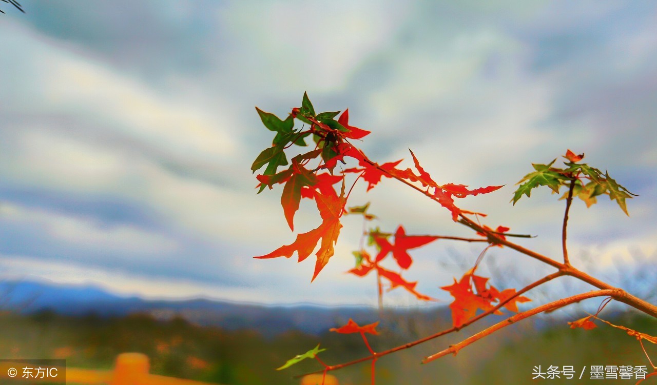 对待得寸进尺的人无需一忍再忍,不要把我的容忍当作你的得寸进尺