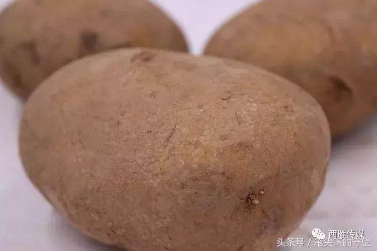 会宁学子求学故事,会宁学子事迹