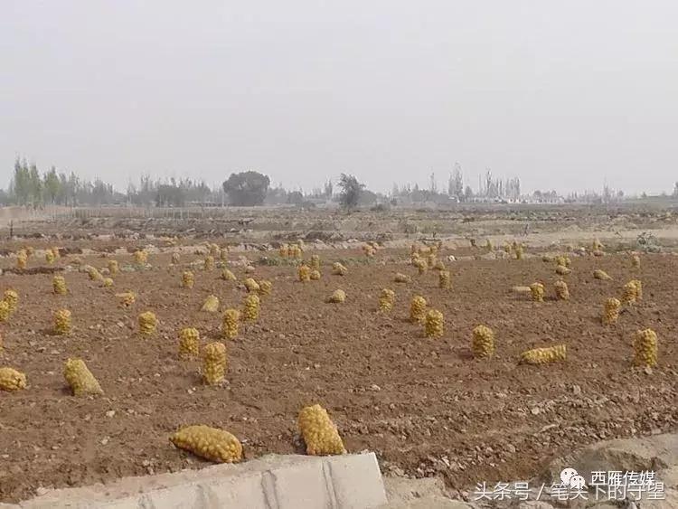 会宁学子求学故事,会宁学子事迹