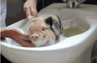 洗屁屁变白的香皂,洗屁屁香皂真的会变白吗