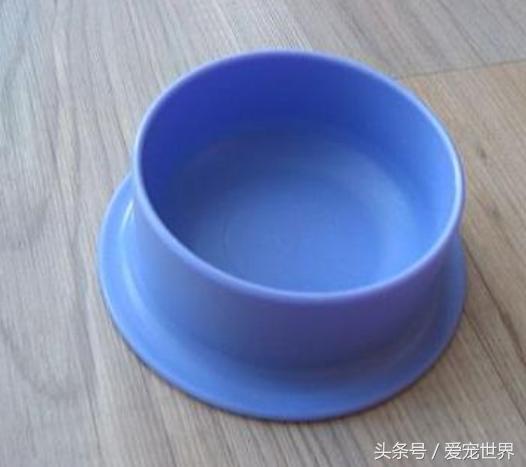 围观一只小吃货,捕捉一位小吃货