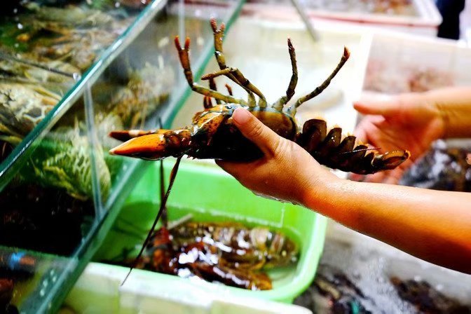 享受阳光拥抱大海,三亚阳光大海之旅