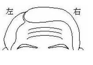 看额头皱纹命运图解,额头有皱纹代表命苦吗