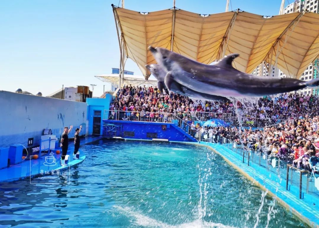 秦皇岛最值得去的旅游景点有哪些,秦皇岛值得玩的地方秋天