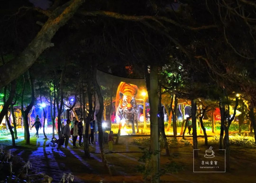 秦皇岛旅游攻略夜景,秦皇岛旅游攻略这几个景点必去