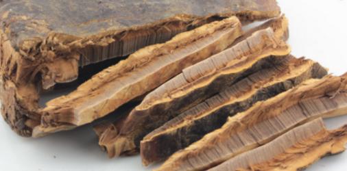 灵芝能和黄芪一起泡酒吗,全蝎酒可以和人参酒一起喝吗