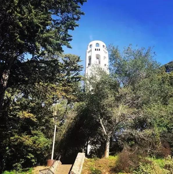 一个保姆游20多个国家，住七星酒店，吃米其林餐厅还拿年薪60万！