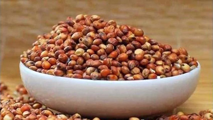 高粱酒小作坊烤酒怎么糖化,小灶纯酿高粱酒烤酒技术培训