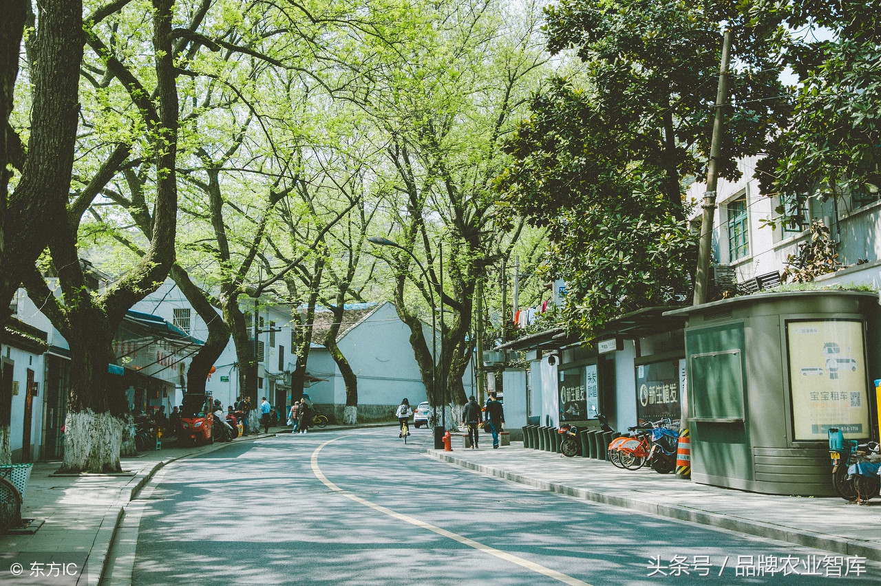 松鼠拼拼社区团购官网,每日优鲜拼团购水果