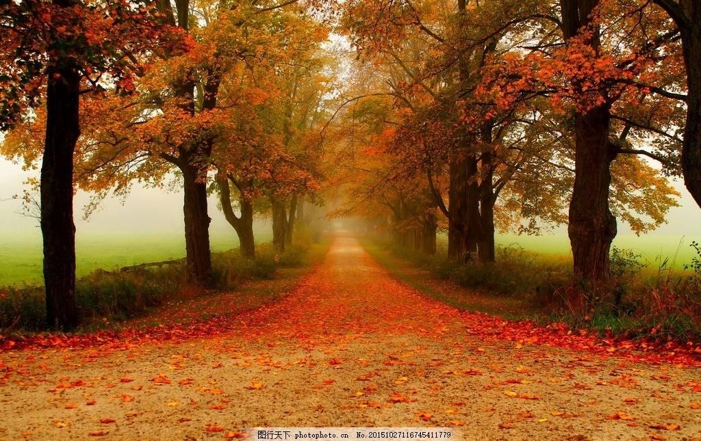 白朴的关于秋天的诗,白朴的关于秋天的诗句