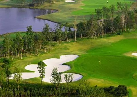 上海地铁的免费景点,上海地铁9号线沿线景点