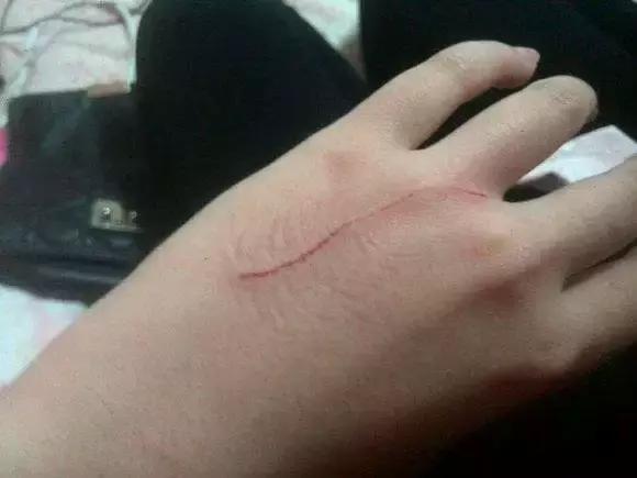 福懋动物医院好不好,福懋动物医院有疫苗打吗