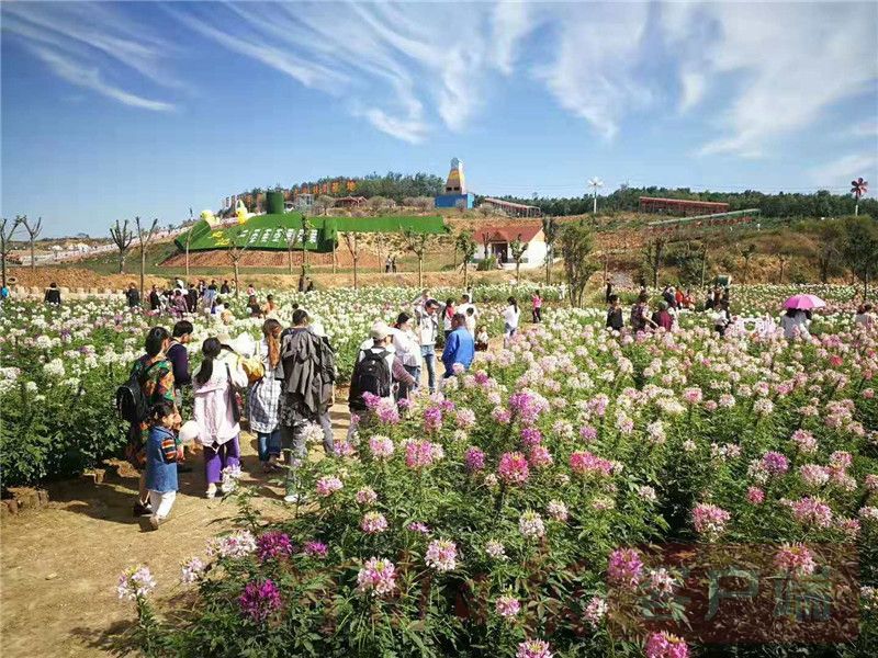 郑州旅游业,郑州旅游人数2019