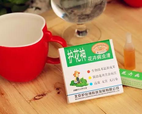 花儿除虫的妙招,花儿生虫用什么药