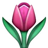 大学生为工作迷茫了怎么办,大学生为就业做哪些准备