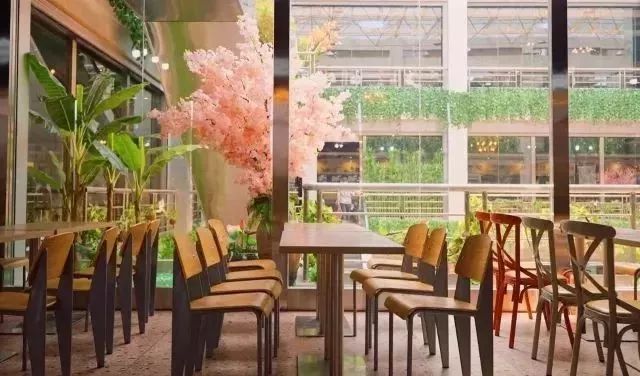 湖南长沙十大高校排名,长沙十大高校