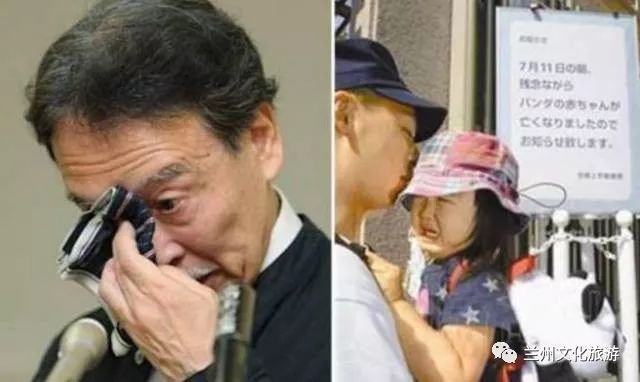 兰州哪里能看大熊猫,兰州能看大熊猫吗