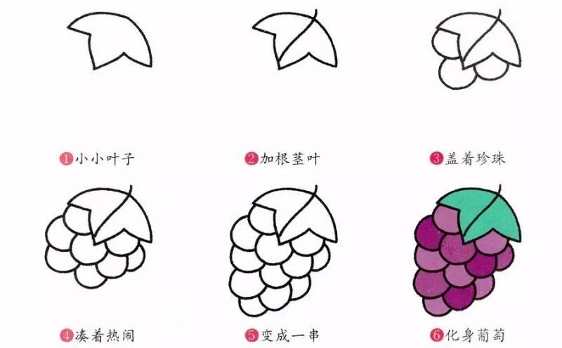 英语水果手抄报简笔画,紫色水果有哪些简笔画