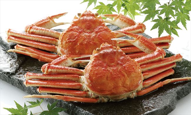 邑城海鲜在哪里,正宗邑城海鲜市场