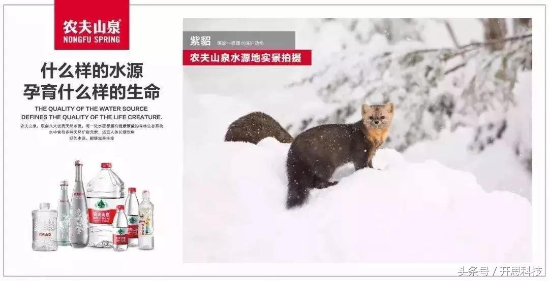 品牌管理是高知名度还是美誉度,怎么理解品牌管理