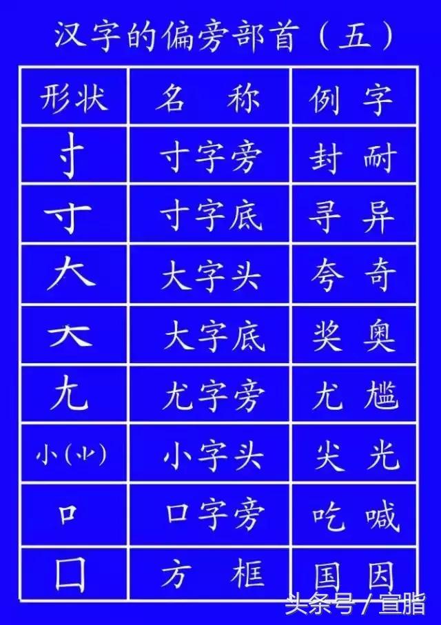 权威专家教你正确的汉字笔顺技巧,专家揭秘汉字正确的笔顺技巧